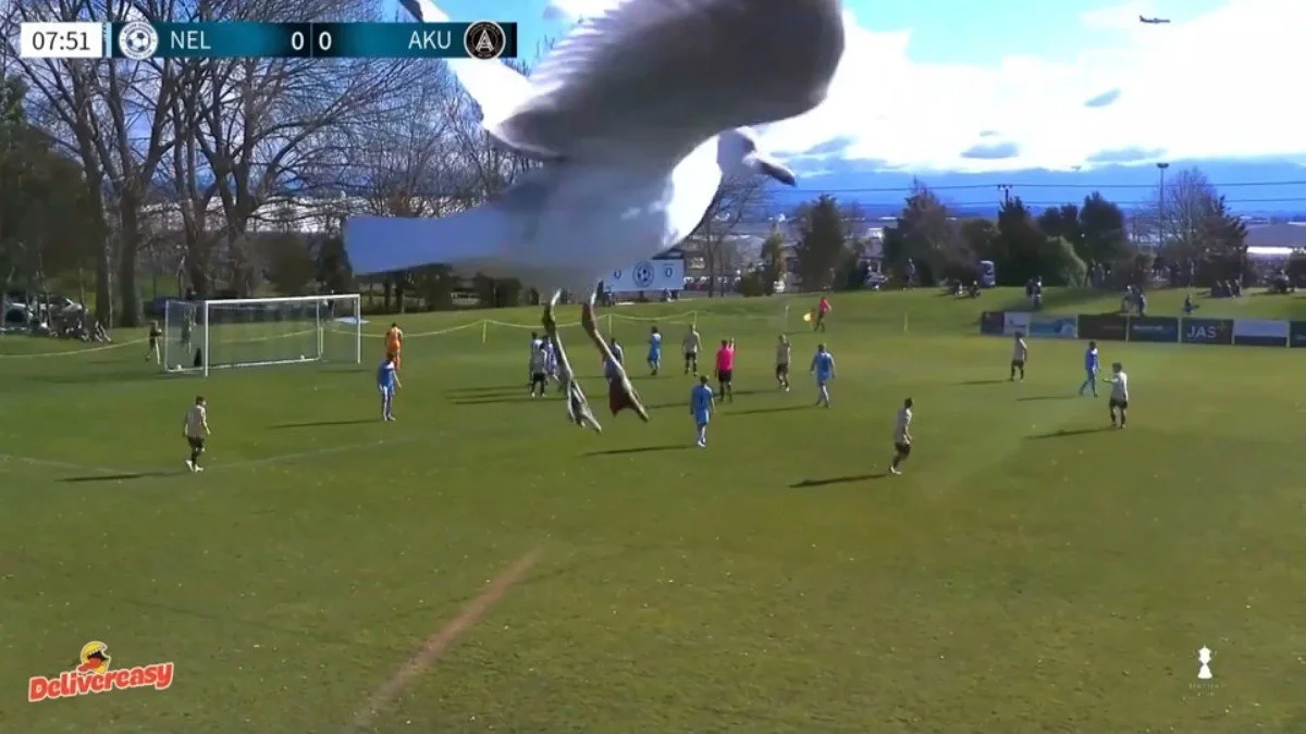 Aotearoa Domestic Football Roundup – July 27
