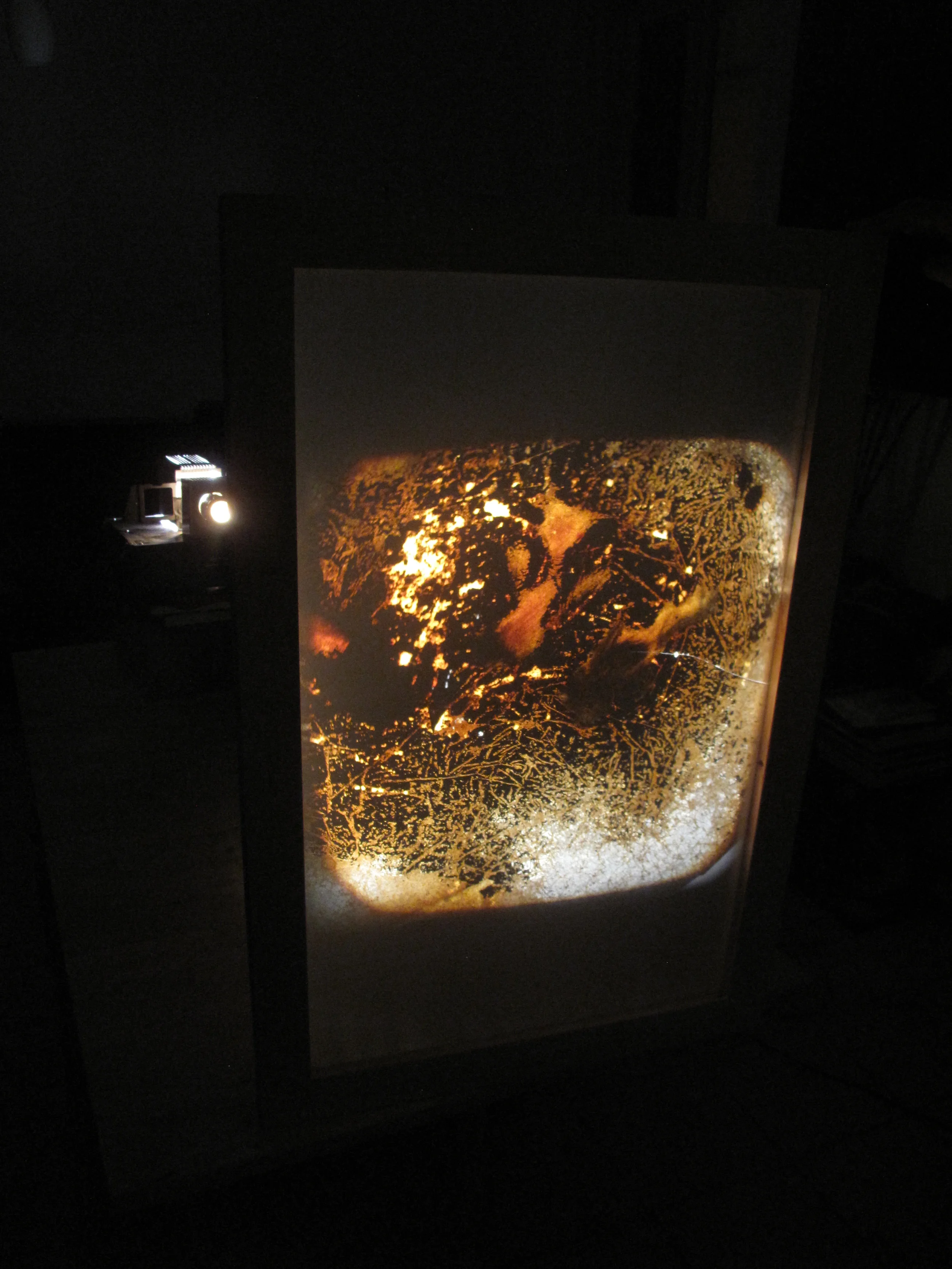 2012-11-21 11.28.47.jpg