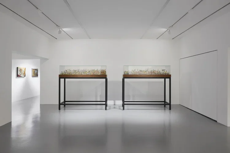 Idealised+Realms,+FOST+Gallery,+Installation+View,+Photo+Courtesy+of+FOST+Gallery+01+HR.webp
