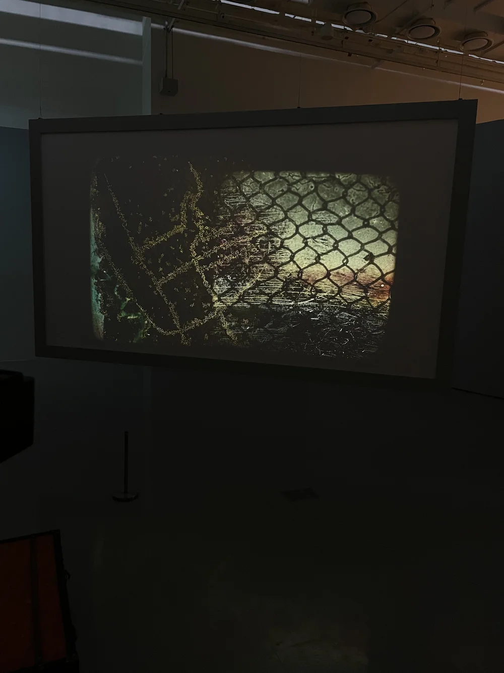 PhiPhiOanh_slide set C.jpg