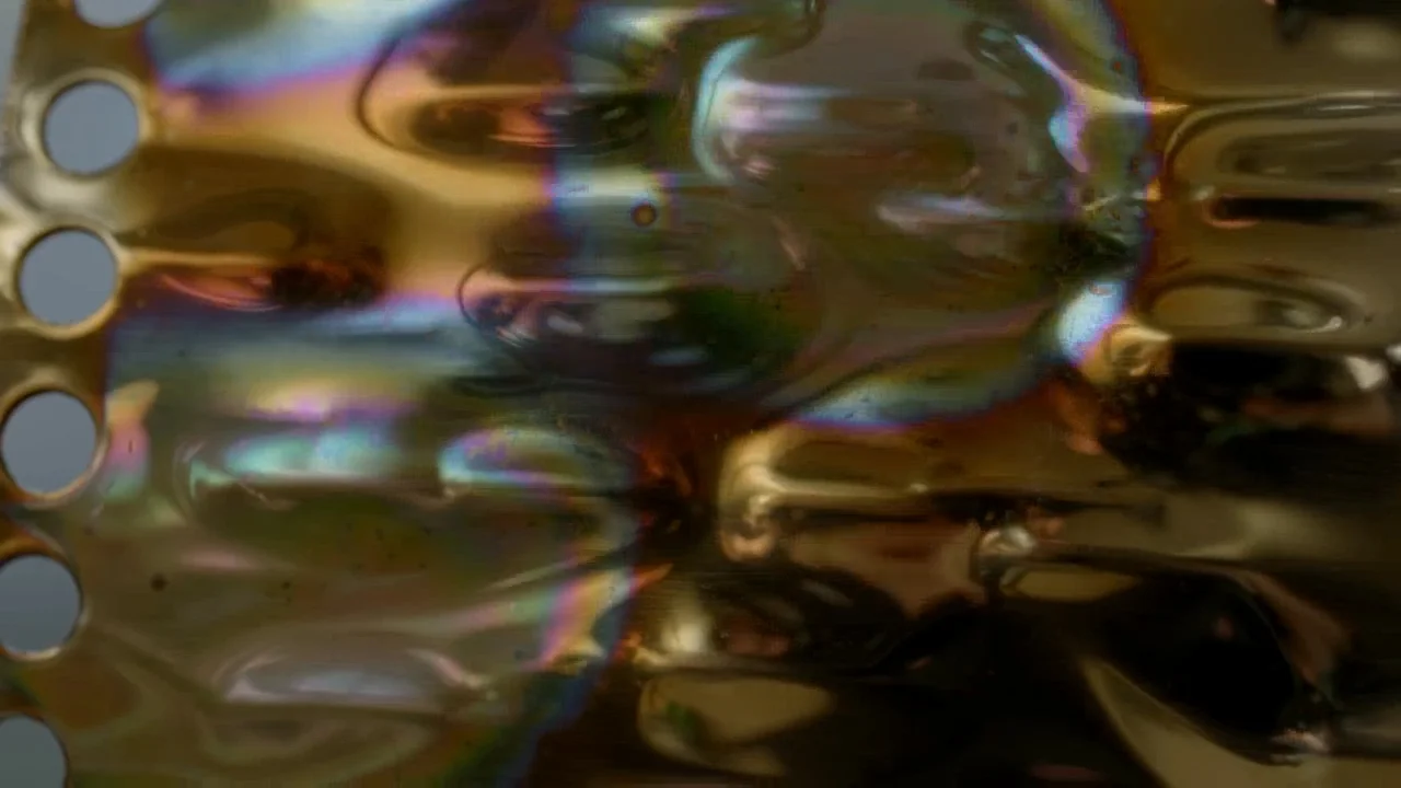 CLIP.Image fixe003.jpg