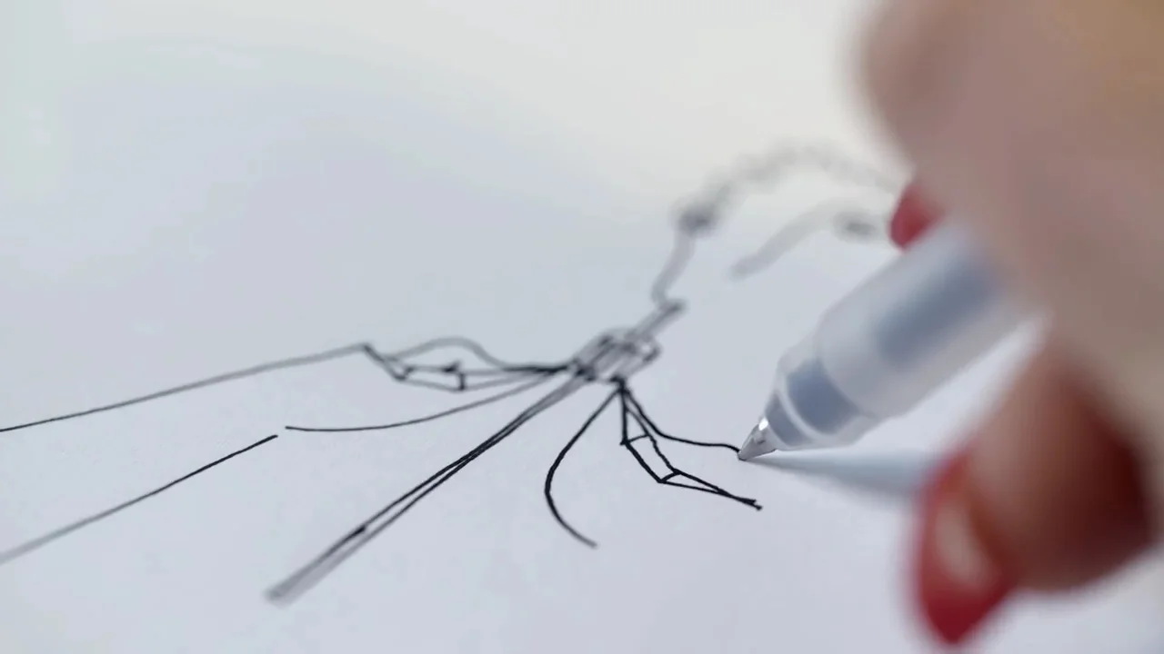 CLIP.Image fixe016.jpg