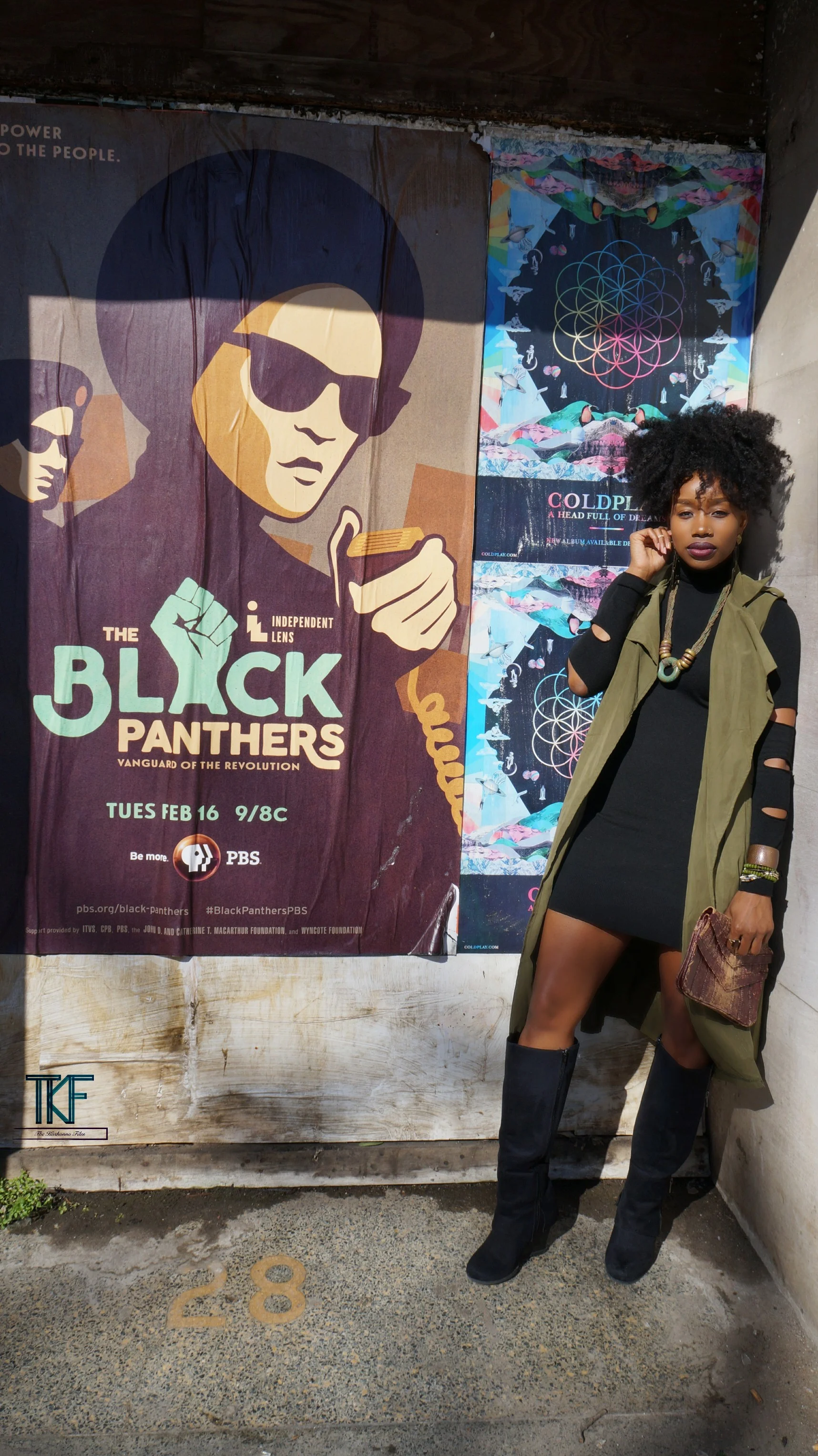 Black-panther-documentary.jpg