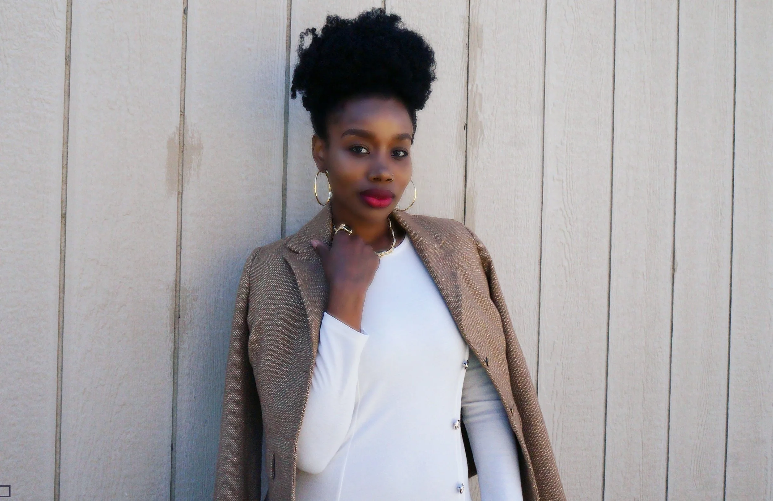 the-kashonna-files-natural-hair-fashion-blogger-los-angeles.jpg