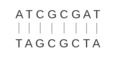 gattaca.png