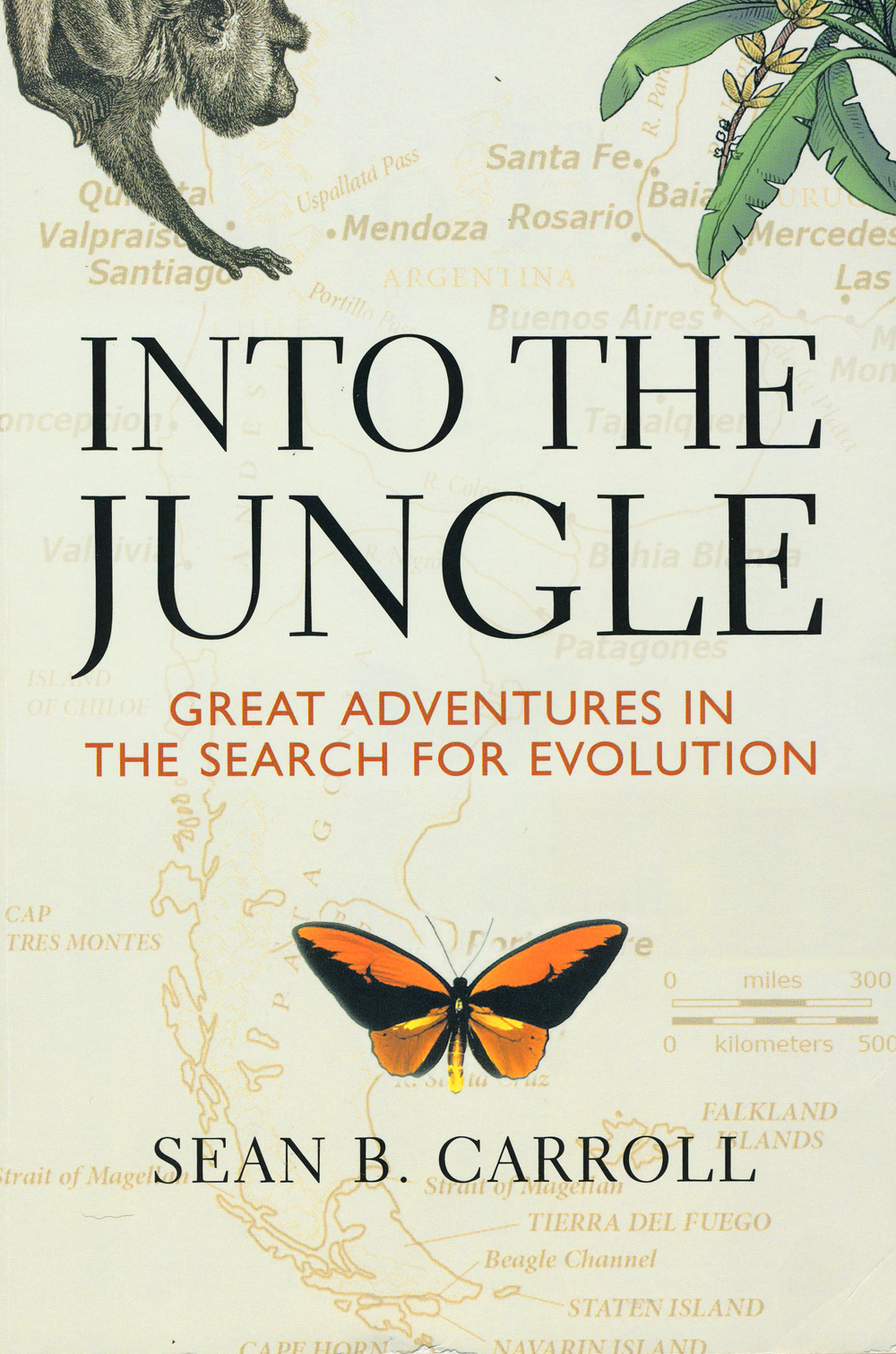 intojungle.png