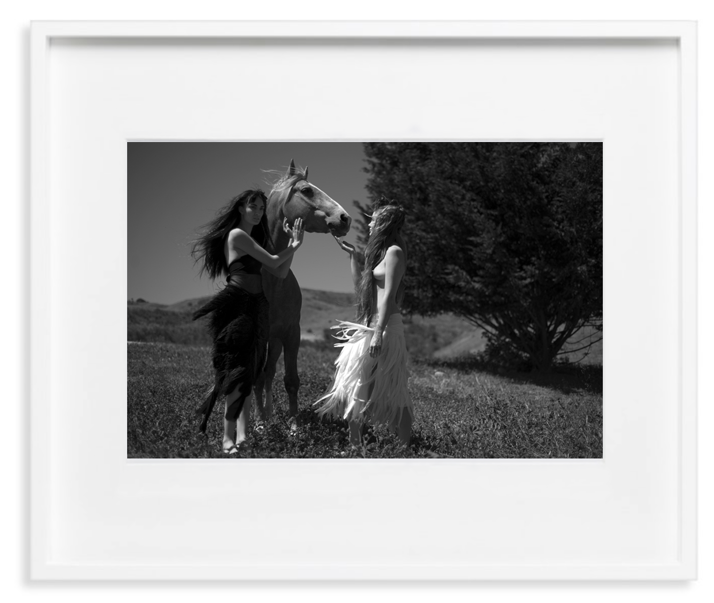 _DEB5677 white frame.png