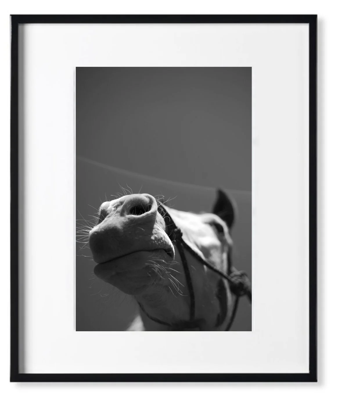 _DEB5871 black frame copy.jpg