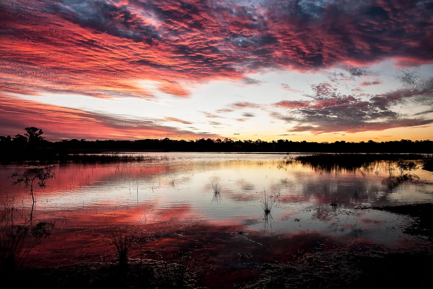 Sunset Lighting, Barkers Creek Reservoir