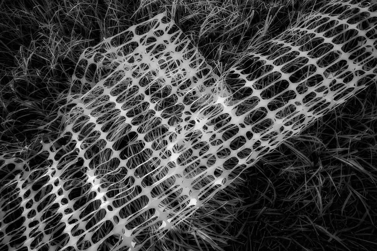 Black and white abstract image of a plastic barrier on wet grass.