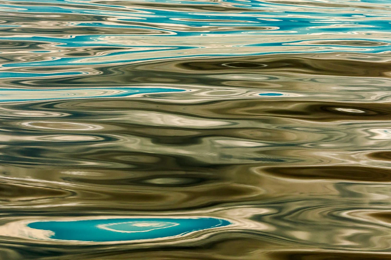 An abstract image formed, momentarily, on the surface of water off the coast of Prion Island in South Georgia .