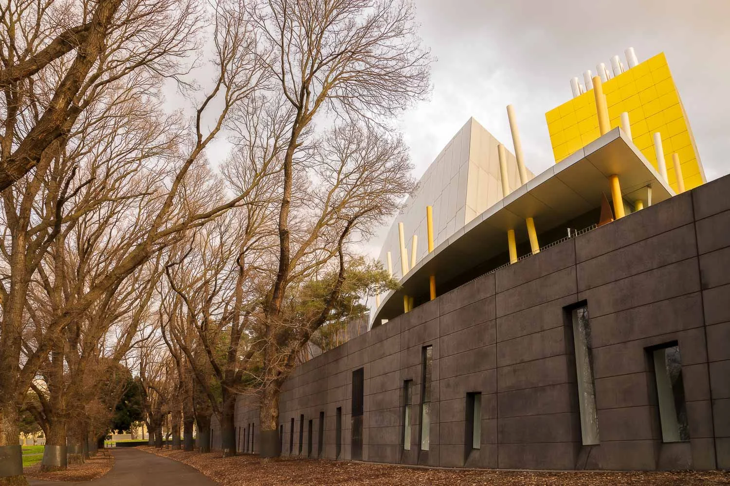 A lovely, tree-lined path adjacent to the Melbourne Museum under late afternnon winter's light. Image made with the Sony a7R II camera and Sony/Zeiss 24-70mm f4 lens .