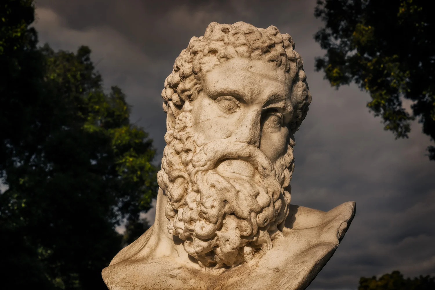 Getting Your Head and Hands Around the Sony a7R II Camera