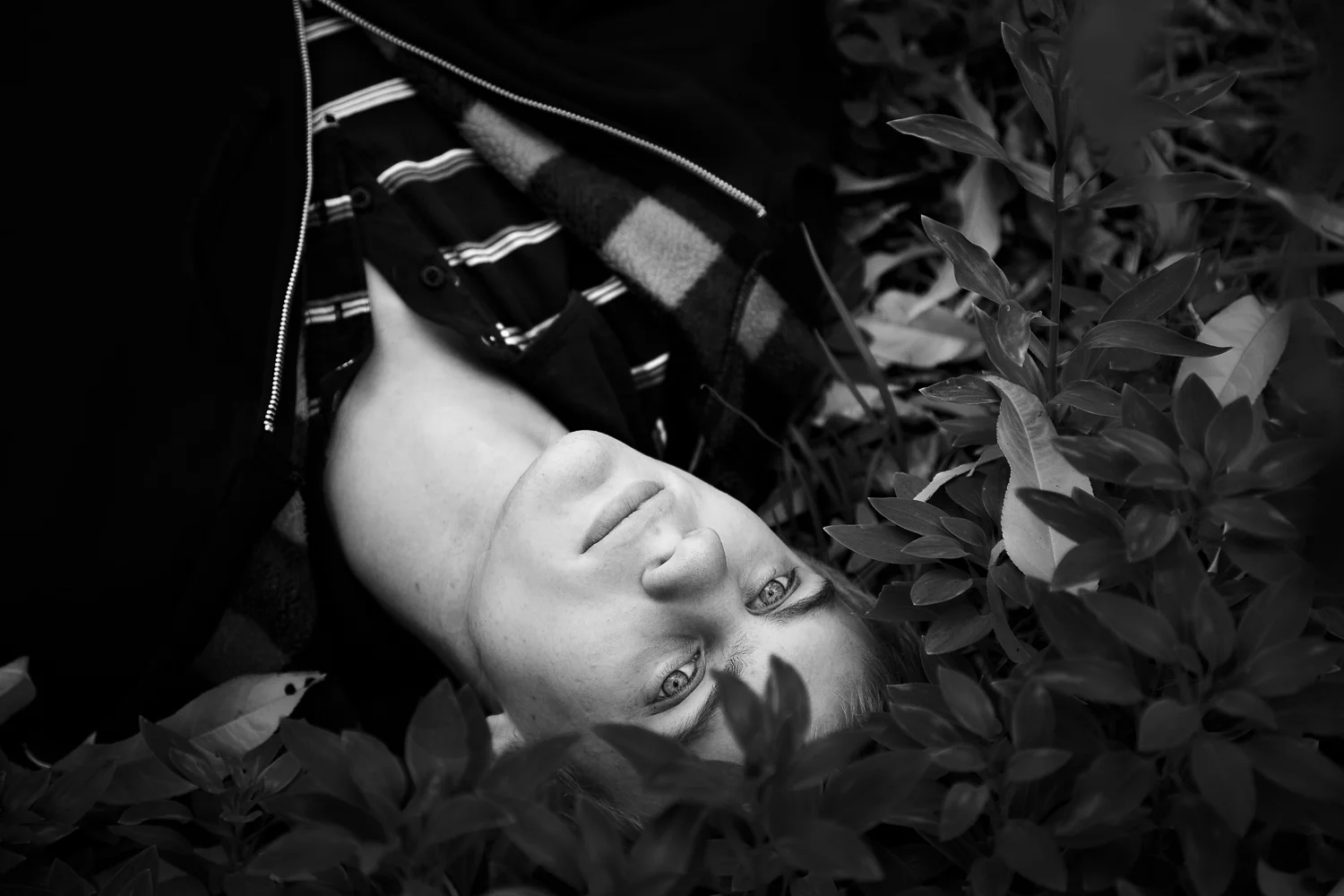 A lovely luminous portrait of a young man seemingly day dreaming.
