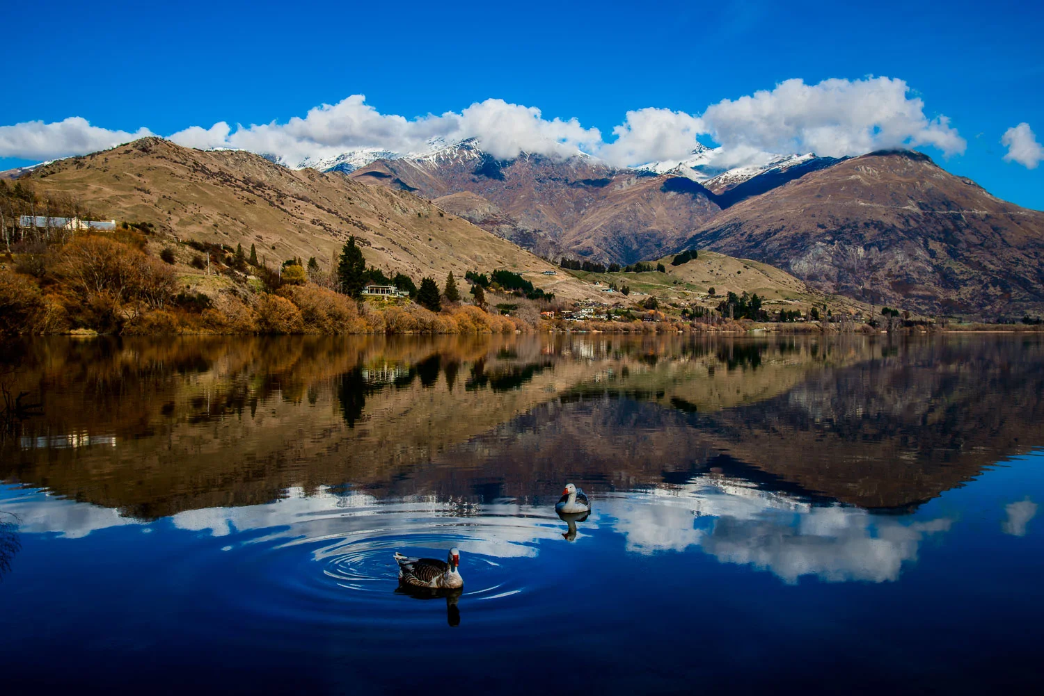 Attractive Landscape Photos: How To Take Picturesque Images