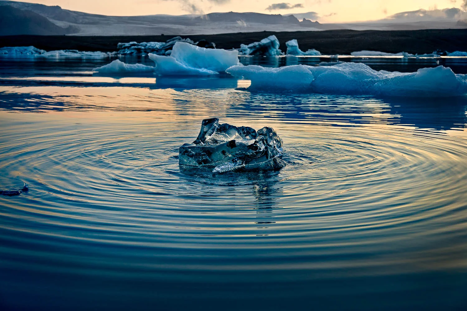 Ripples creating concentric patterns, surrounding floating ice, on Jökulsárlón Glacier Lagoon, Iceland.