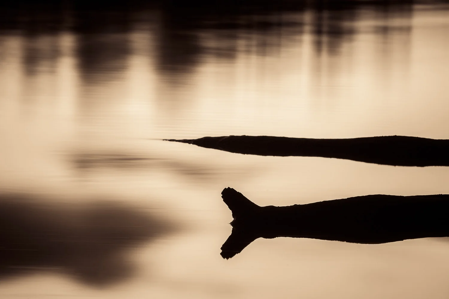 Serenity in silhouette on Barkers Creek Reservoir near Harcourt , Central Victoria, Australia .