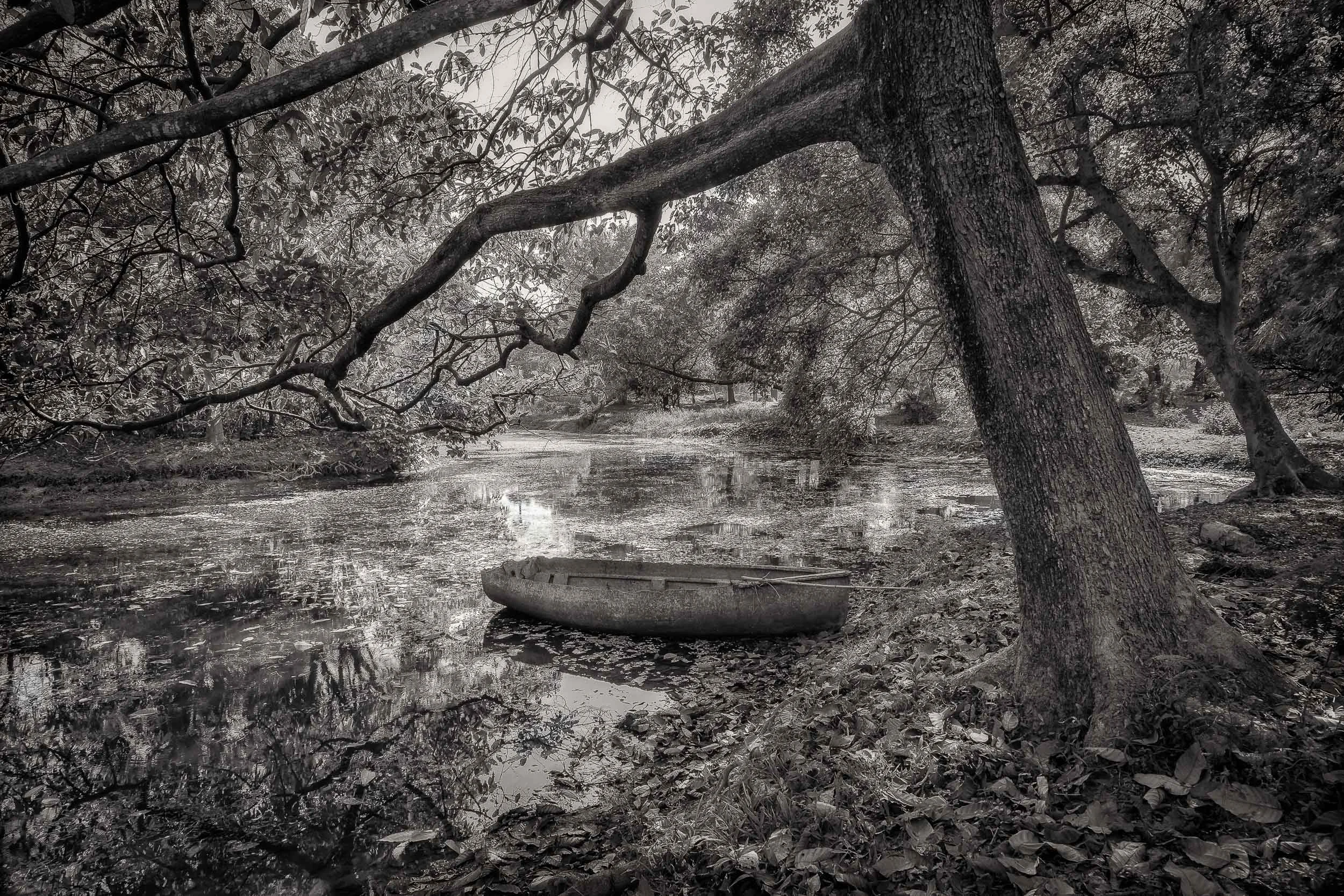 An old boat in the grounds of the Botanical Gardens in Kolkata, India