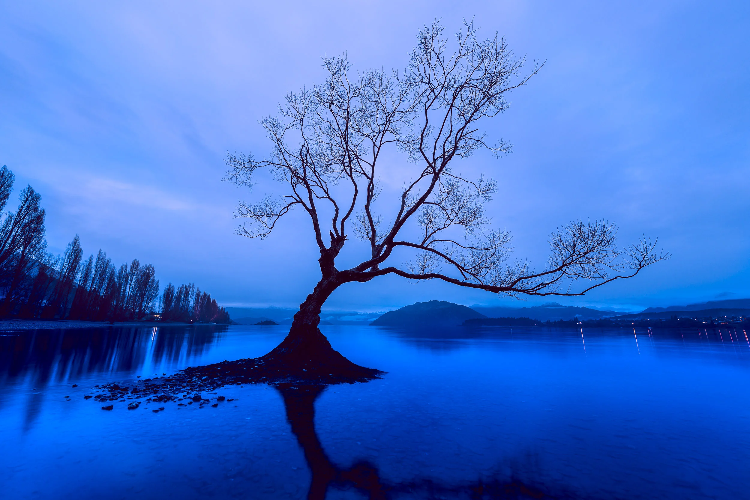 A brooding image of a lonely tree , on a winter's day , on Lake Wanaka in the town of Wanaka, New Zealand .
