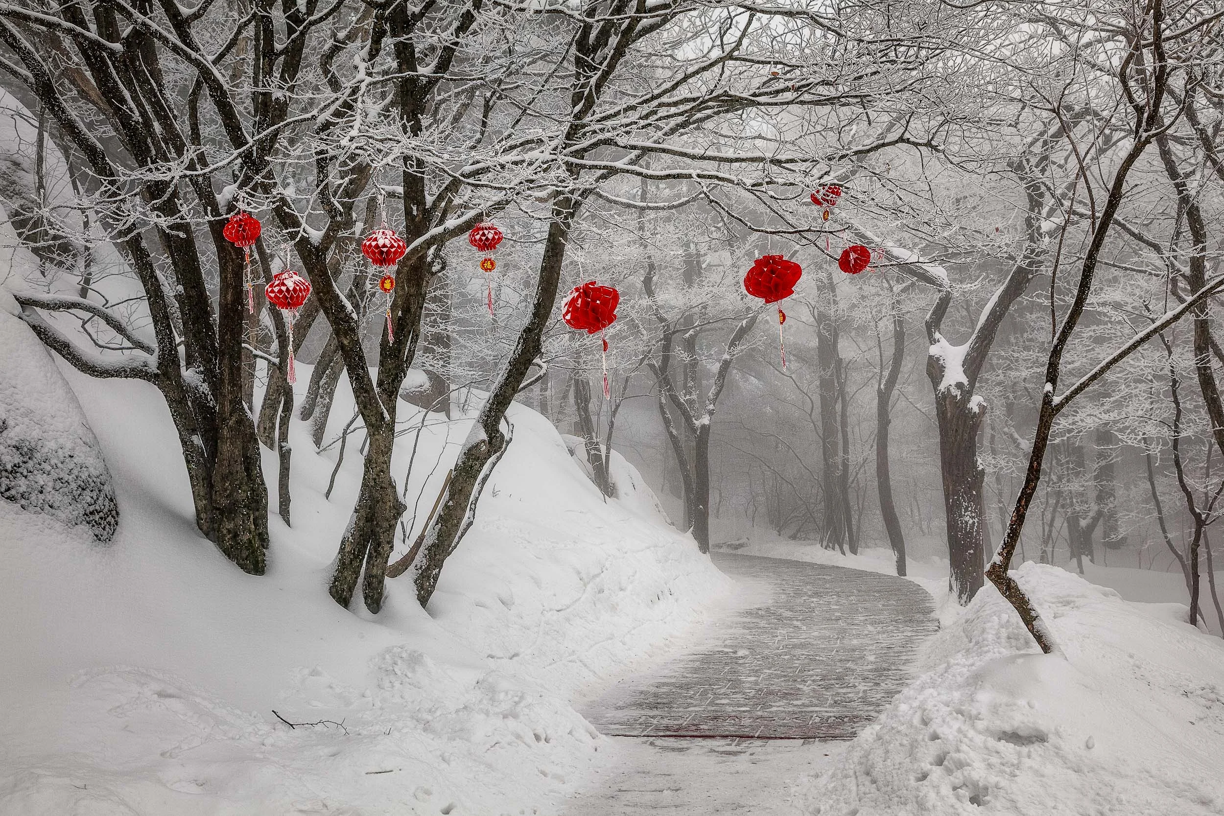 Red decorations , in an otherwise monochromatic landscape, greet the tired, cold walker on Huangshan (i.e., Yellow Mountain) in China .