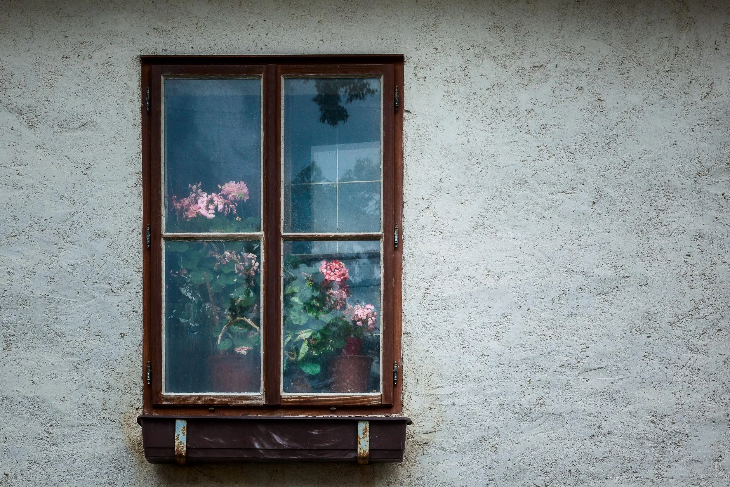 An interior landscape , encassed within a window frame in Salzburg, Austria
