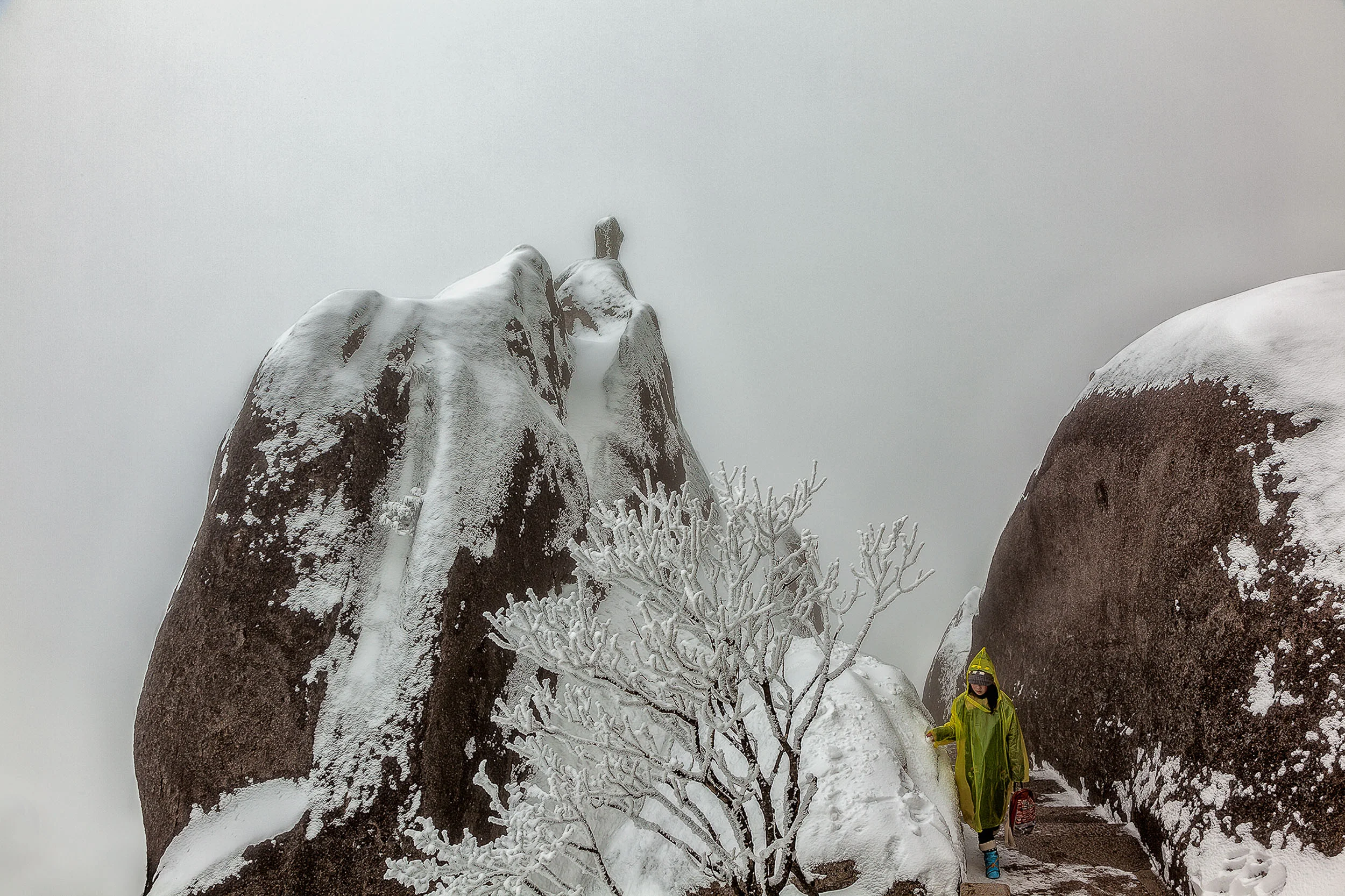 A visitor to the magnificent Huangshan (i.e., Yellow Mountain) in China moves gracefully through the mist shrouded landscape .