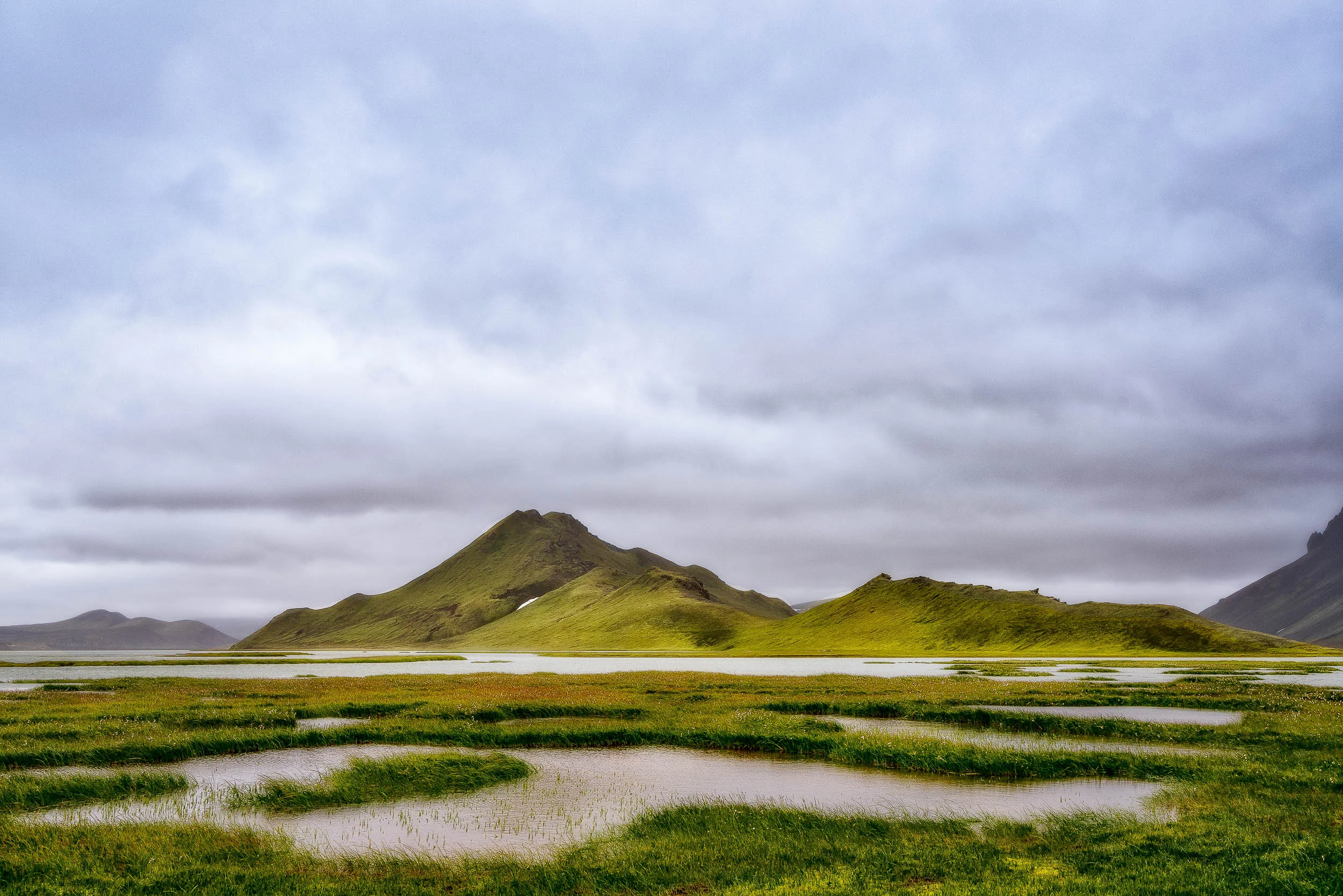 Marshy lake country in southern Iceland illuminated by warm, atmospheric light .