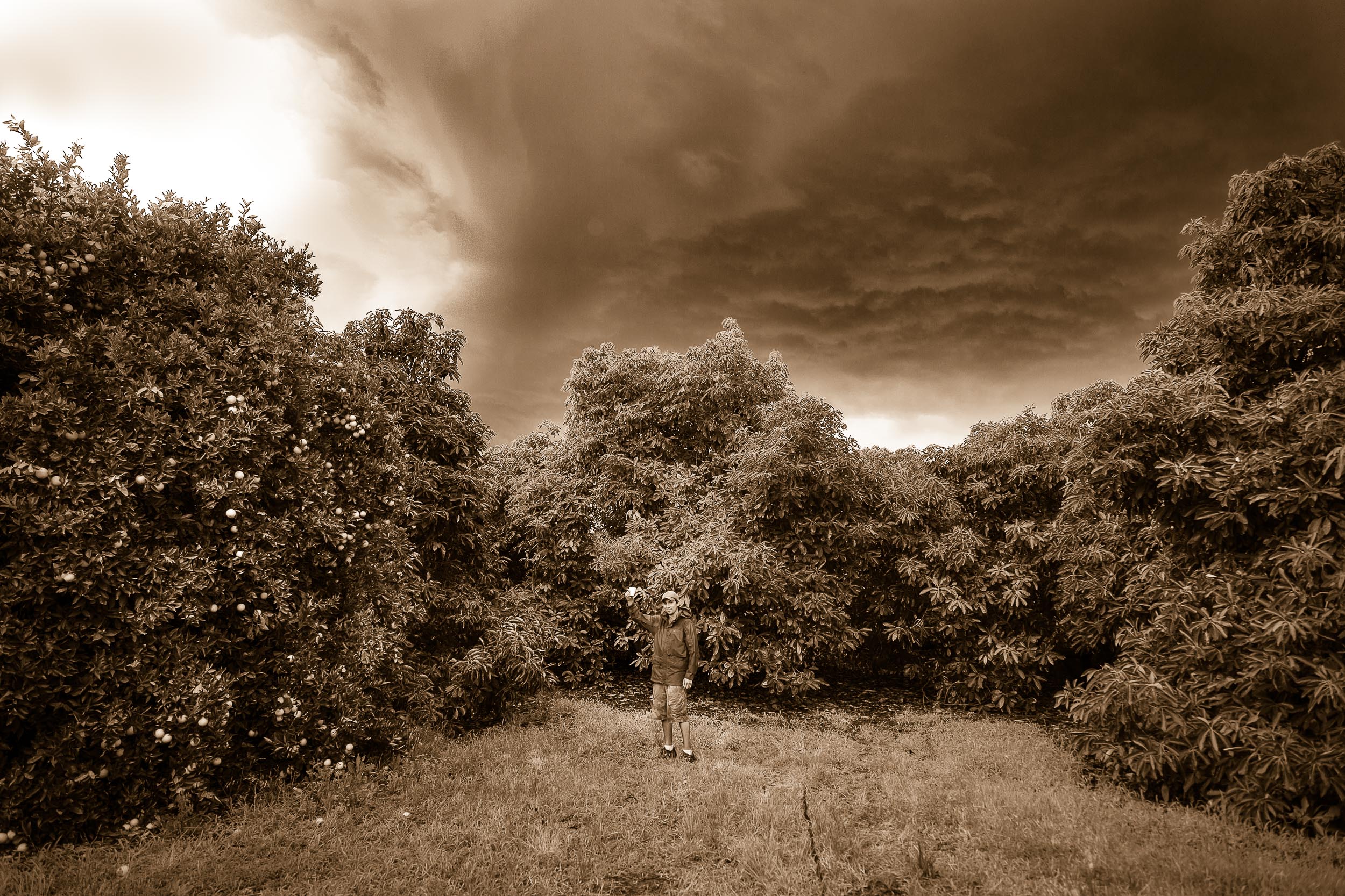 Fun photo of AJ in the orange groves near Mildura, Australia.