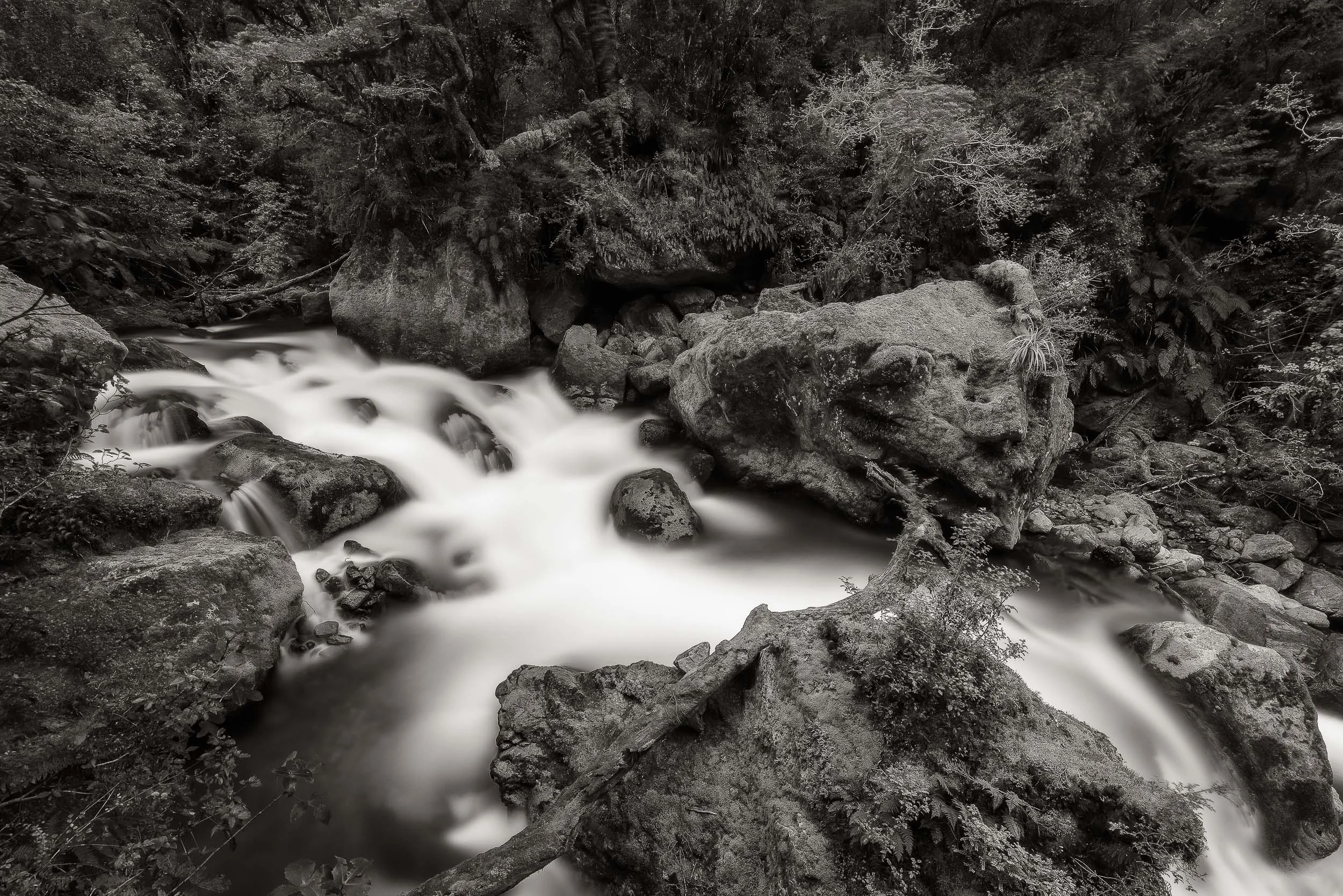 A fast flowing creek near Milford Sound on the south island of New Zealand . I used a strong ND filter to extend the Shutter Speed and achieve the creative blur in this image.