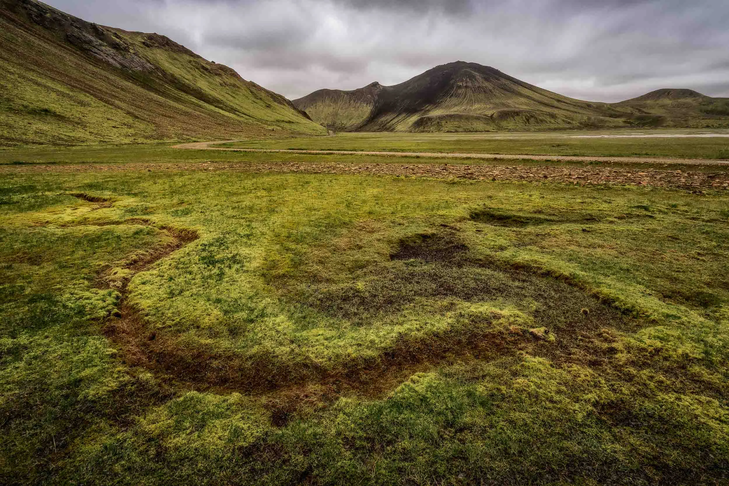 Lush, boggy moss , photographed under eerie light, in a large valley in the Highlands region of Iceland .