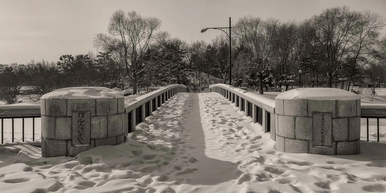 Bridge at Snow World, Harbin. Link to Travel Resources page