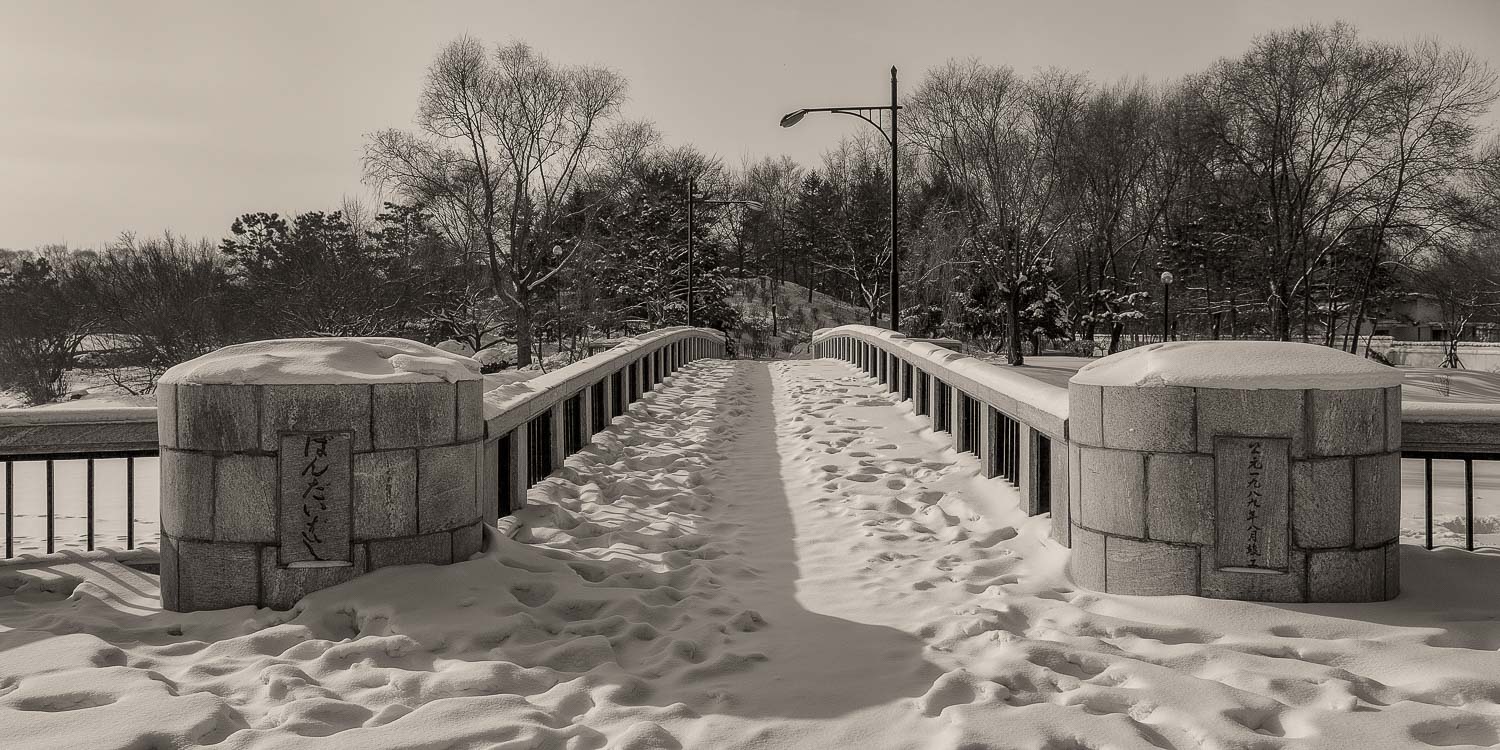 Bridge and Snow, Snow World, Harbin, China