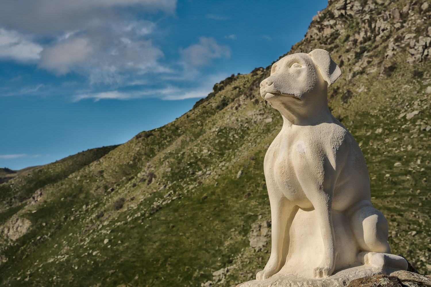 Statue of Sheep Dog, Hindon, New Zealand