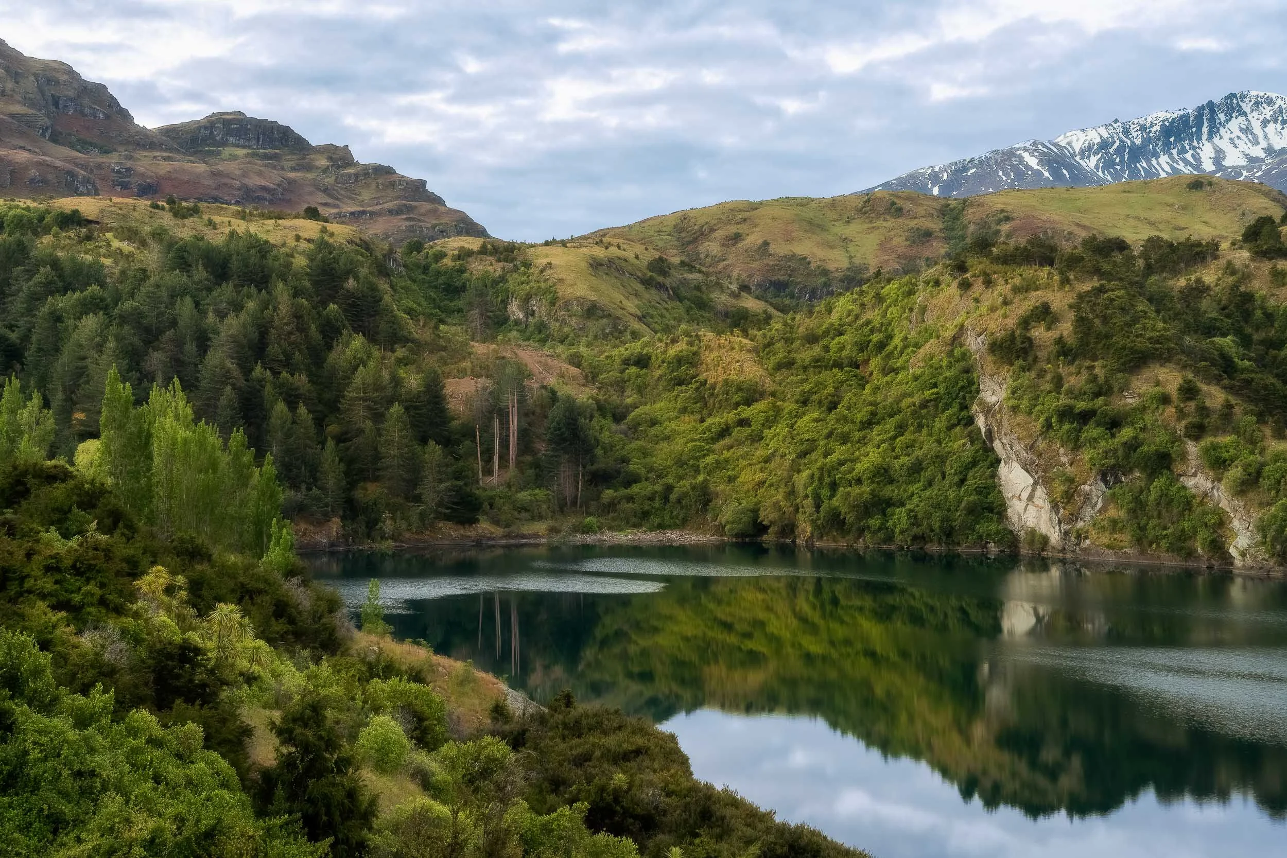 Waters edge near Wanaka in the South Island of New Zealand .