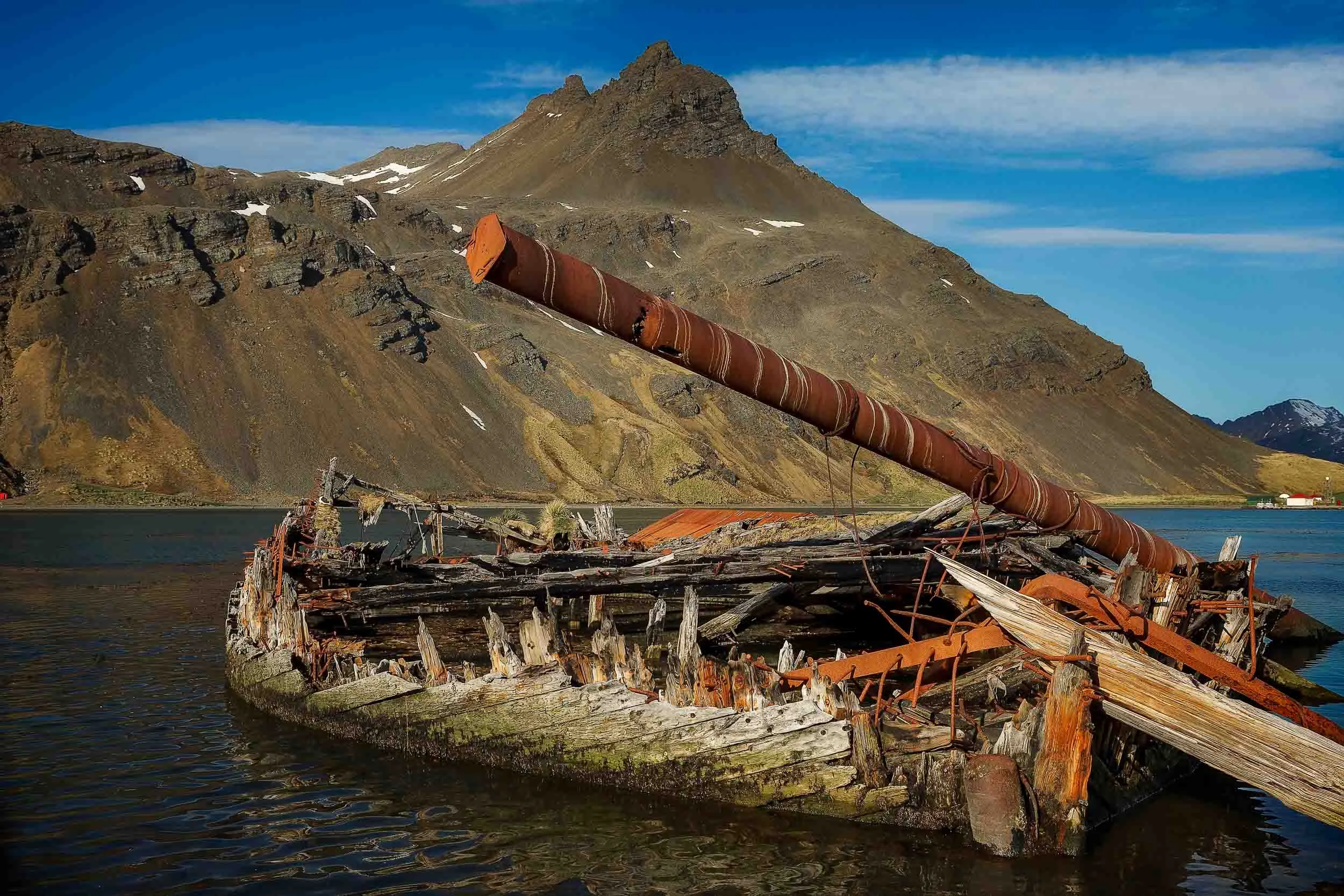 The remains of an old boat in the waters off Grytviken , South Georgia Island .
