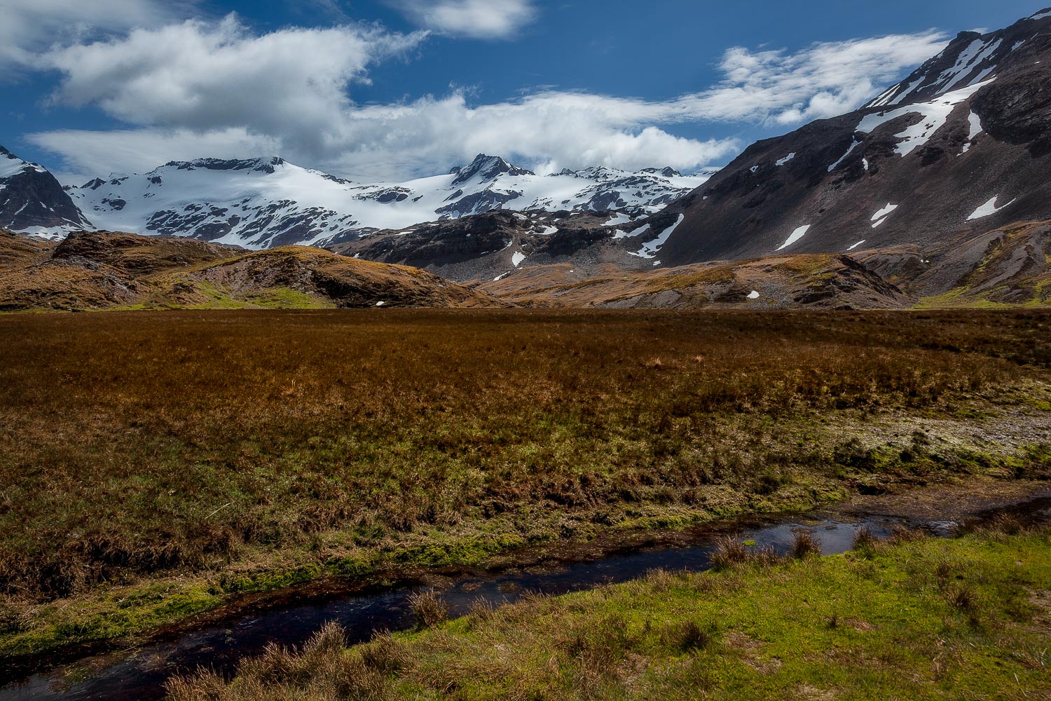 Grytviken Landscape, South Georgia Island