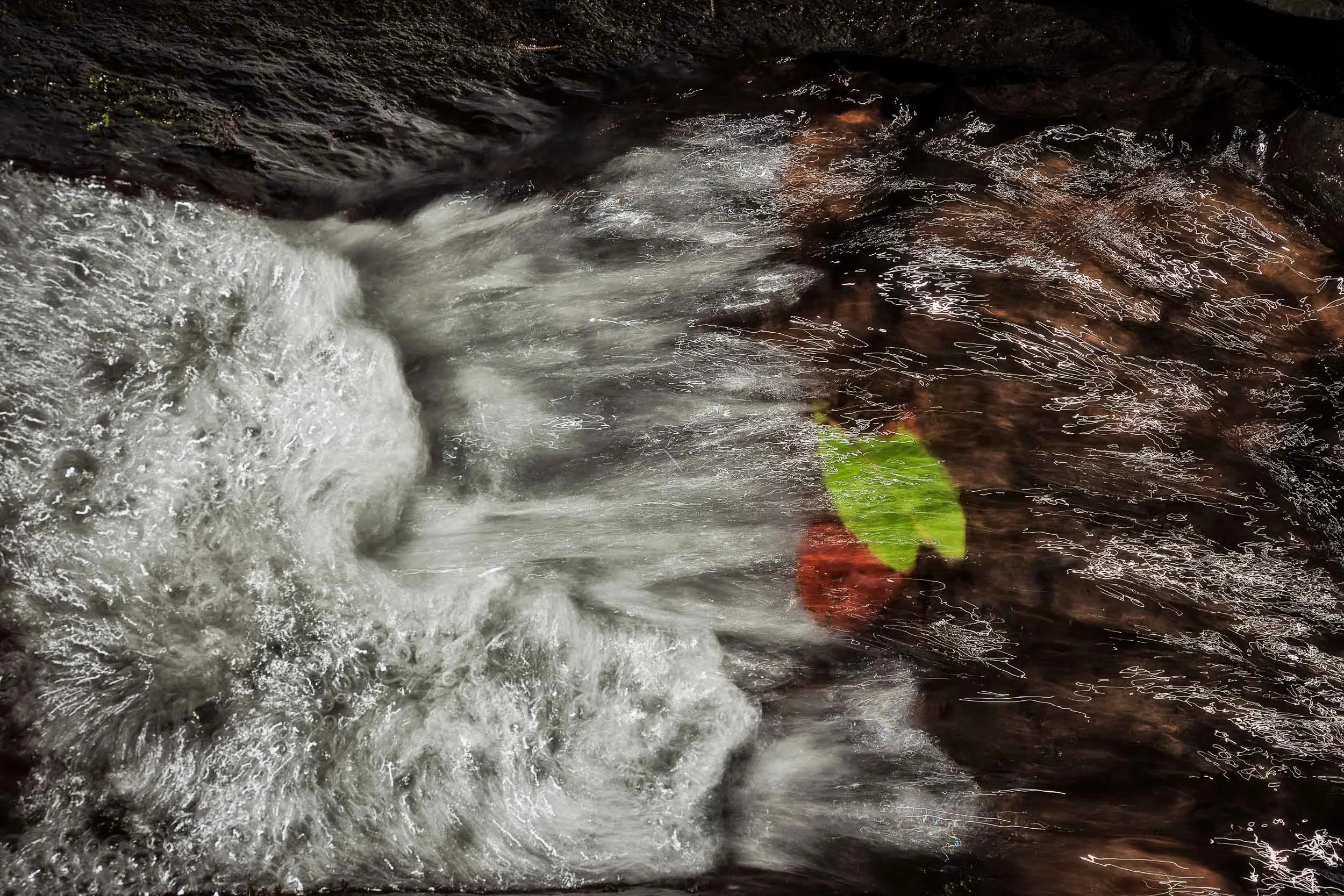 Colorful leaves submerged under flowing water on a waterfall on Mount Tamborine in Queensland, Australia .