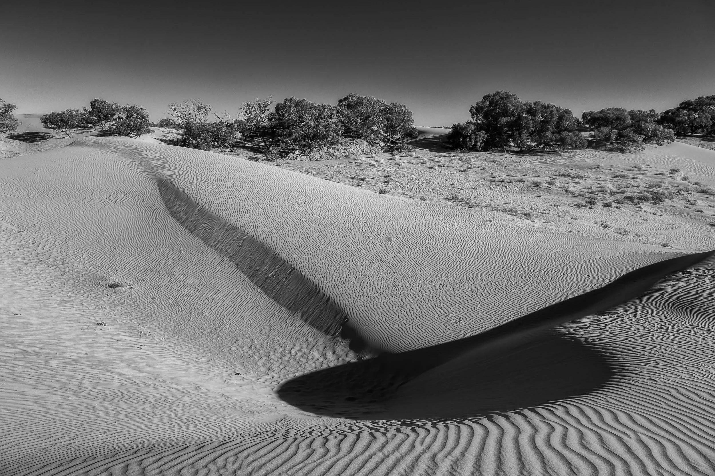 Abstract shapes and textures at the Perry Sandhills in South Western NSW, Australia .