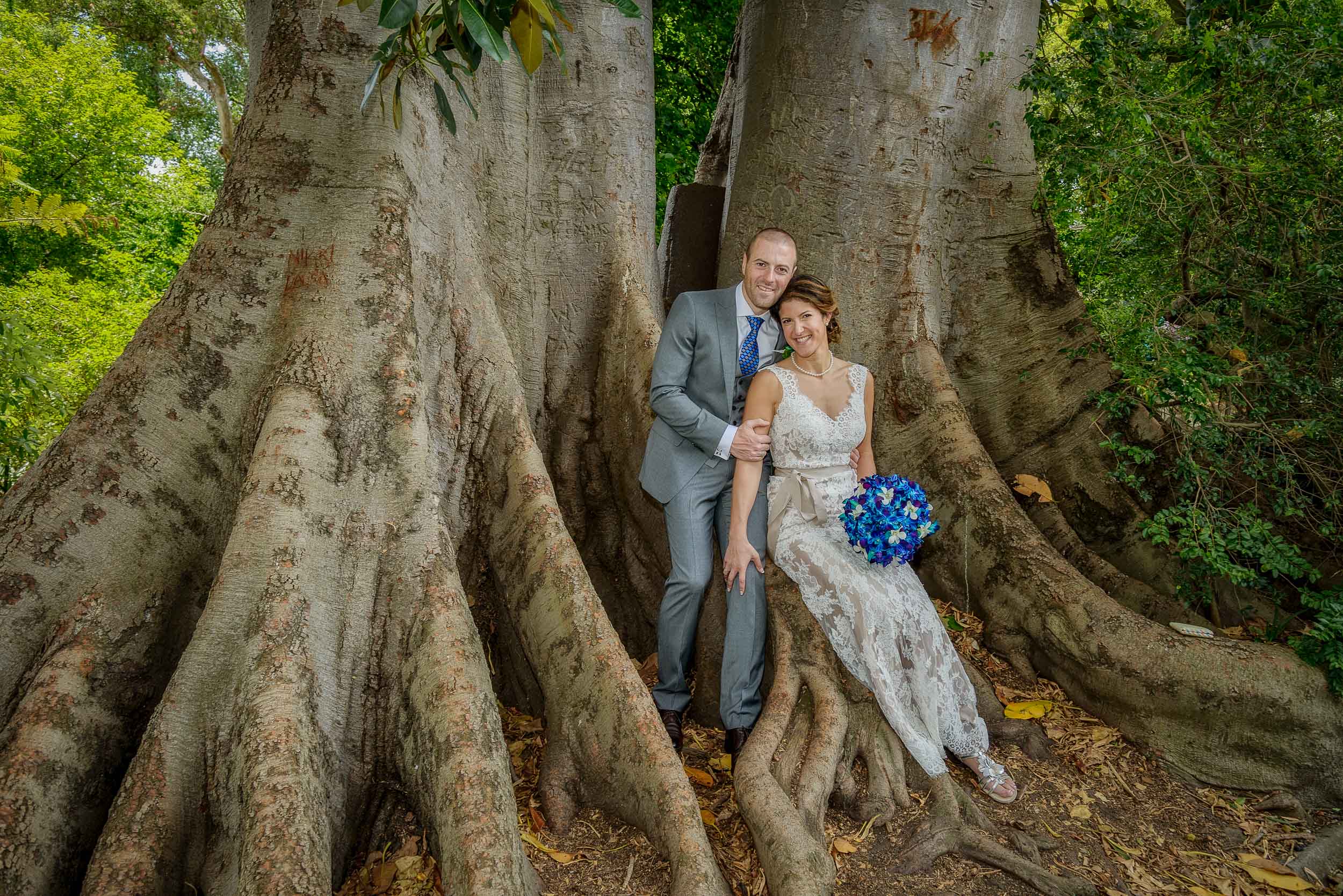 Bride and groom relaxing by a huge tree trunk, Melbourne Botanical Gardens.