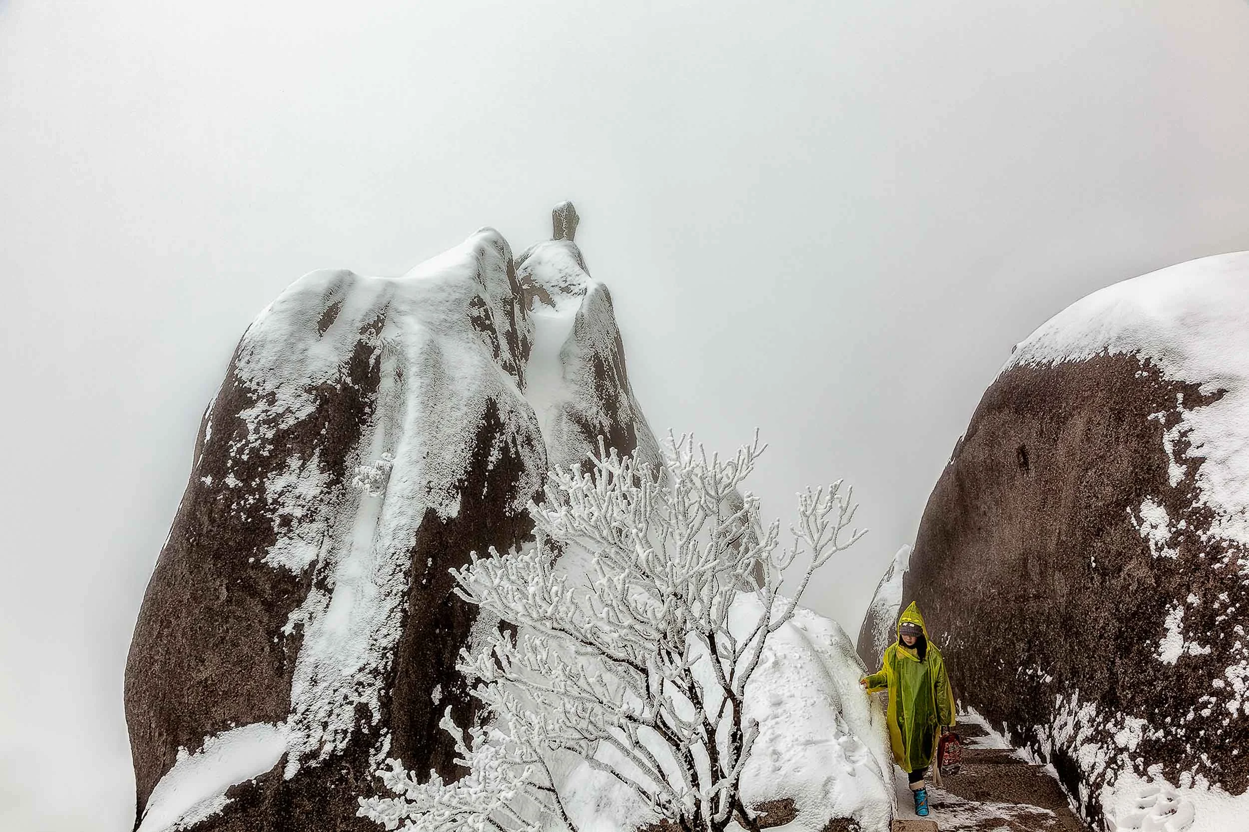 A visitor to the magnificent Huangshan (i.e., Yellow Mountain) in China moves gracefully through the mist shrouded landscape .