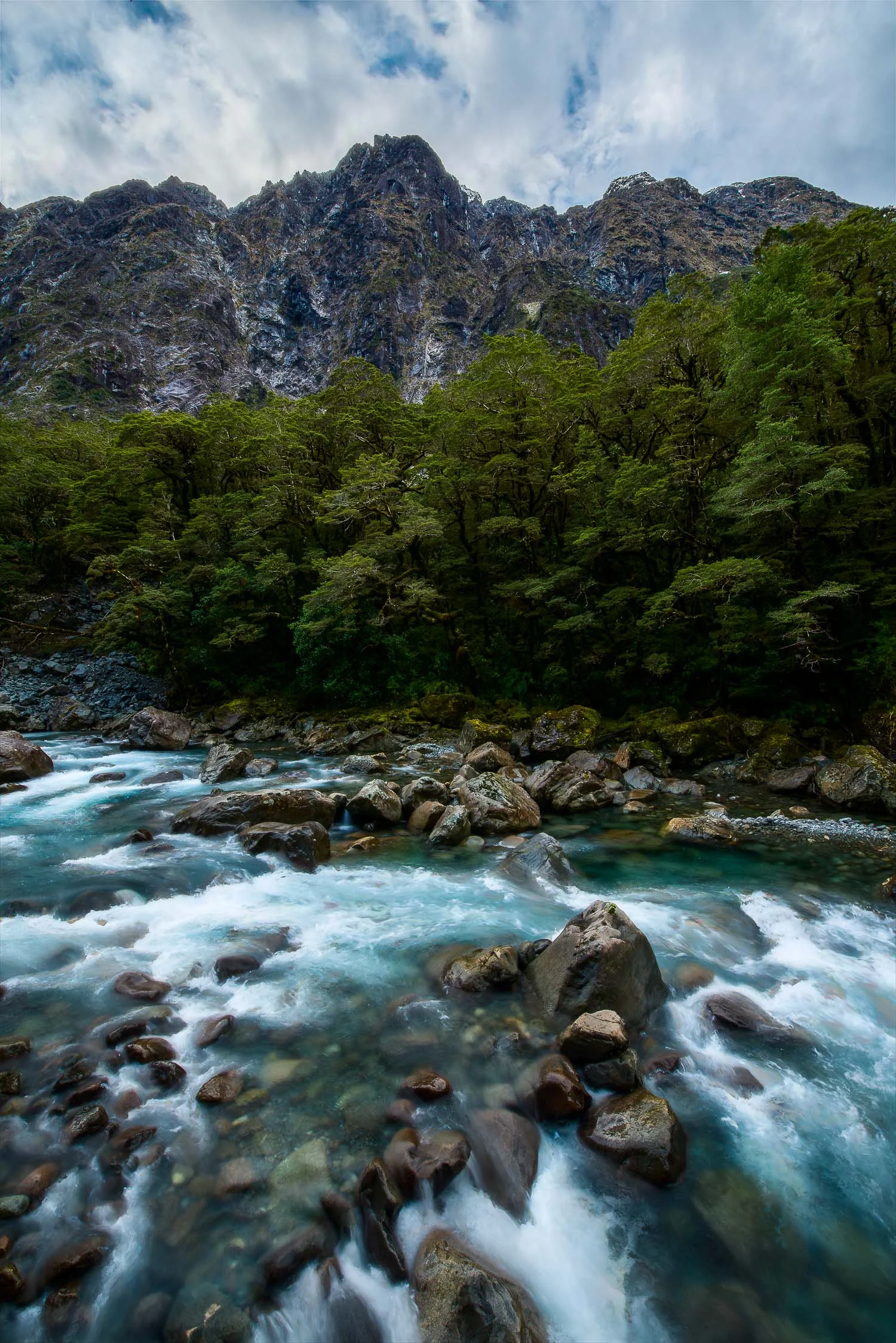 The dramatic Cleddau River rushes towards the sea near Milford Sound in Fiordland, New Zealand .