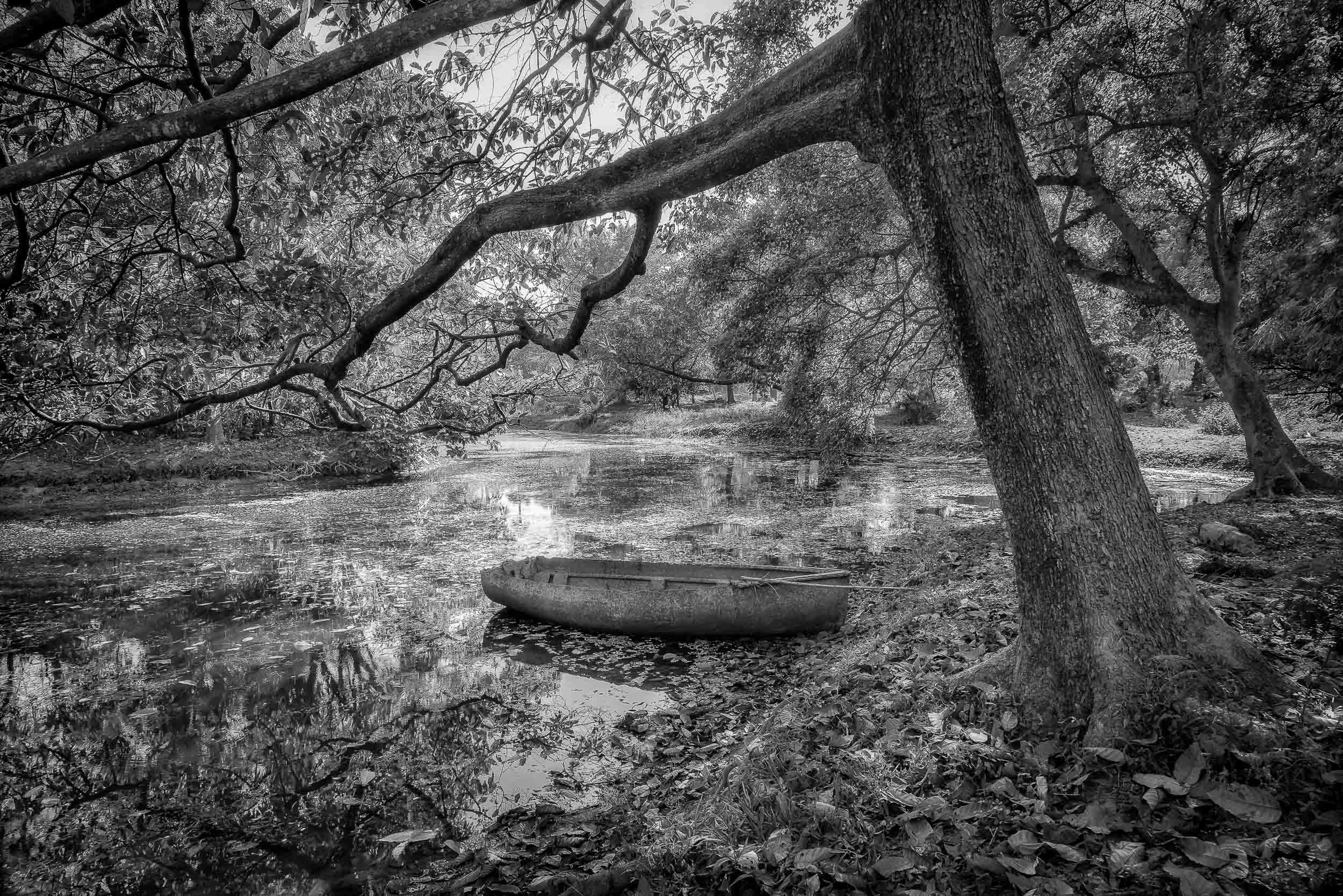 An old boat , under dappled light , in the grounds of the Botanical Gardens in Kolkata , India makes for a very idyllic and pictureseque image.