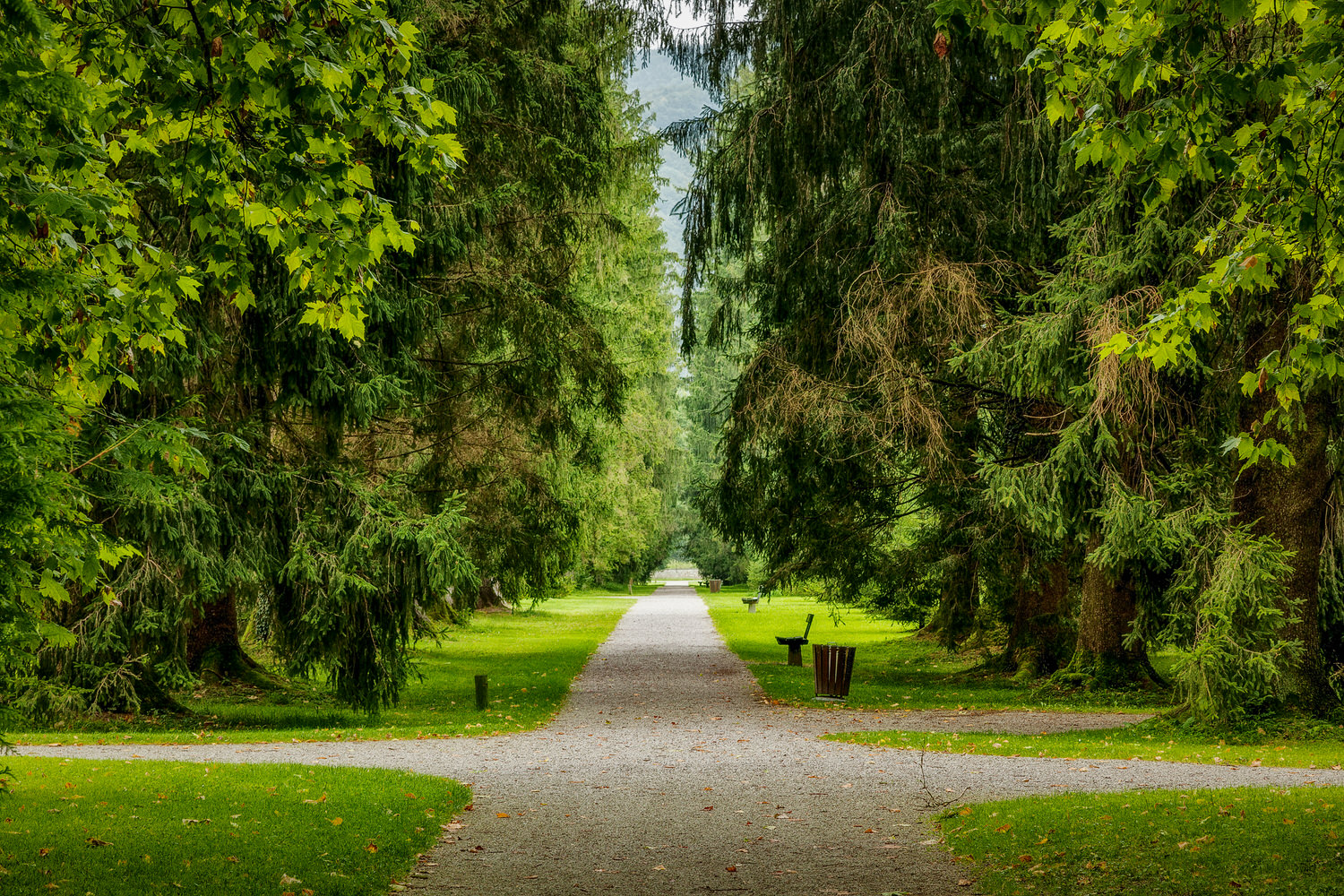 The Path, Salzburg, Austria