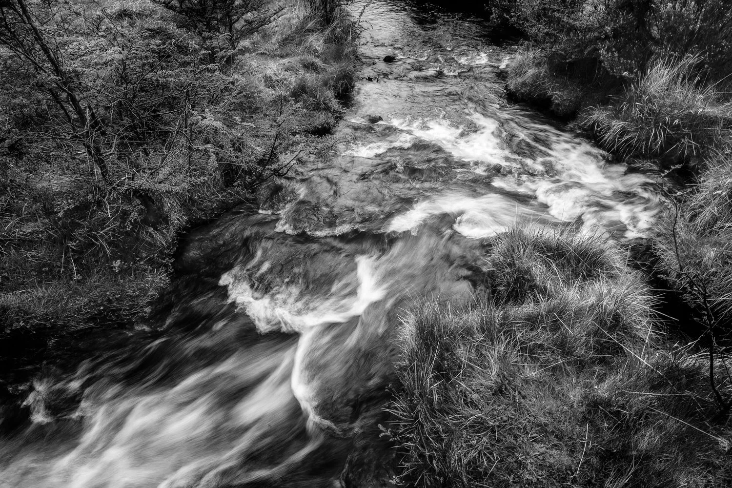 Stream, Tierra del Fuego National Park, Argentina