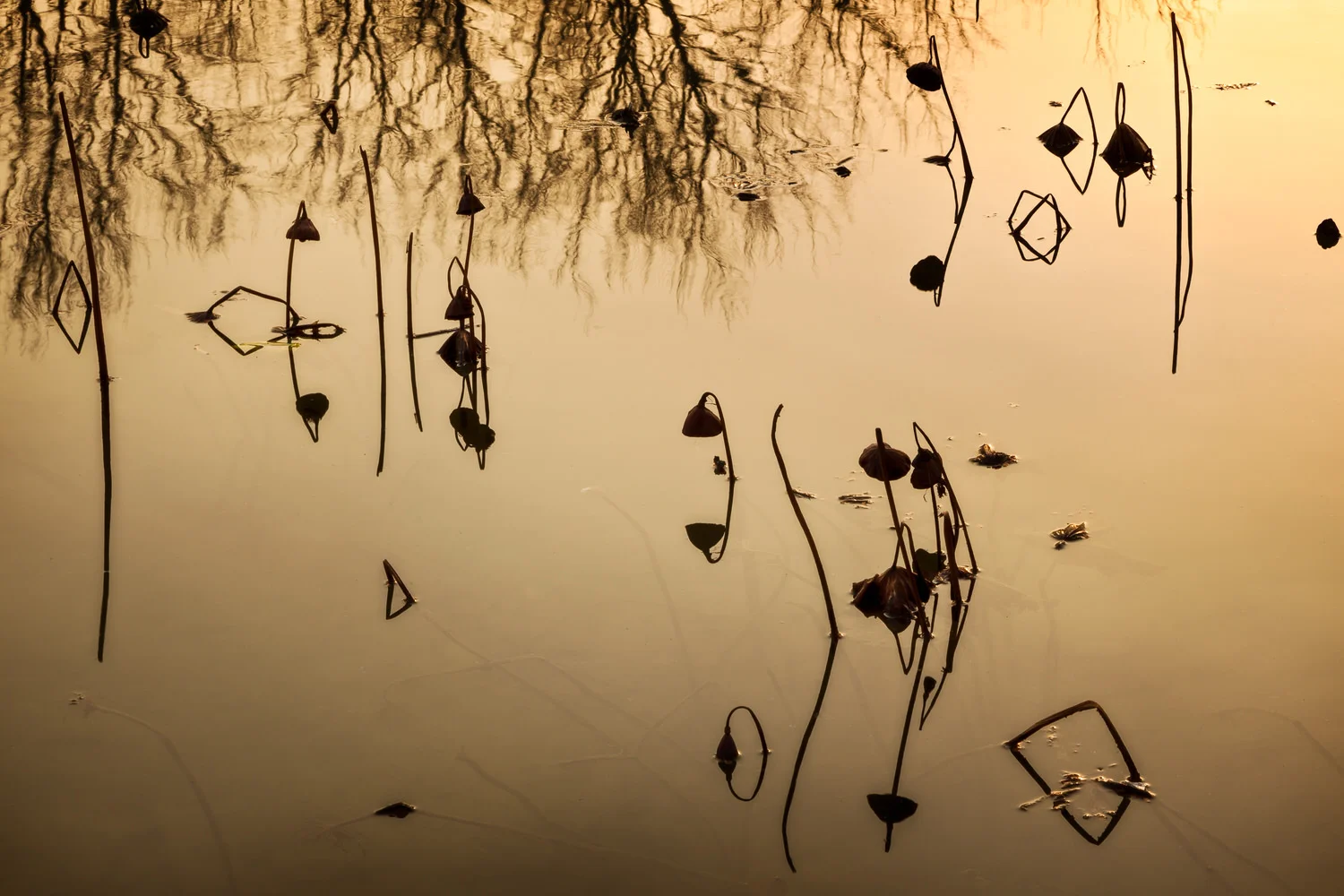 Abstraction, Hongcun Village, China