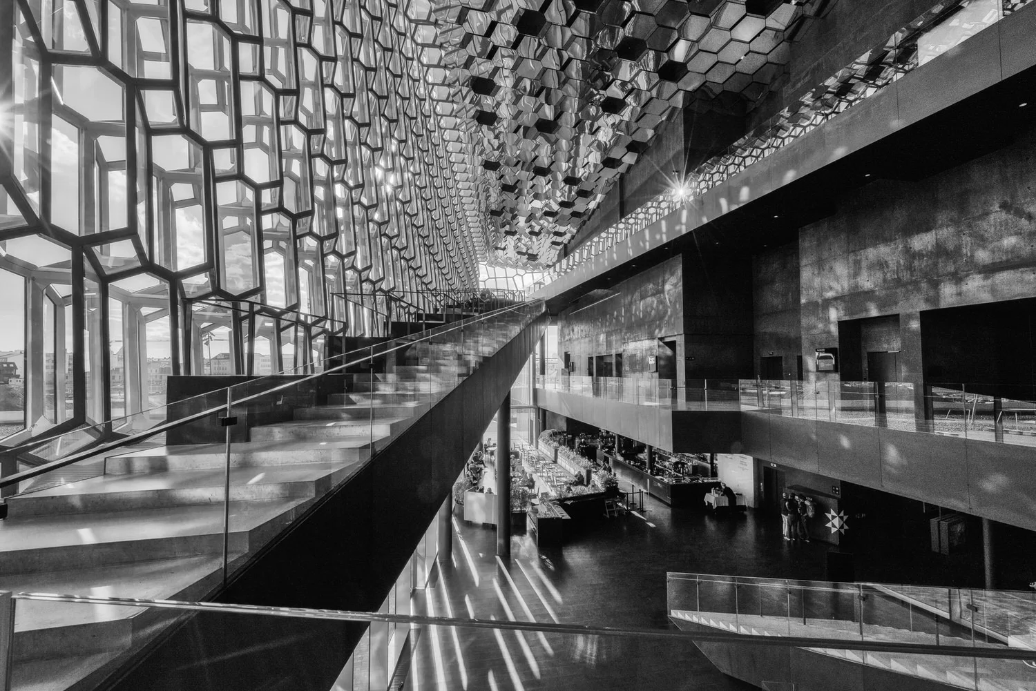 Light and shade together with light and shape provide an expansive view of the spectacular Harpa Performing Arts Centre in Reykjavik, Iceland .