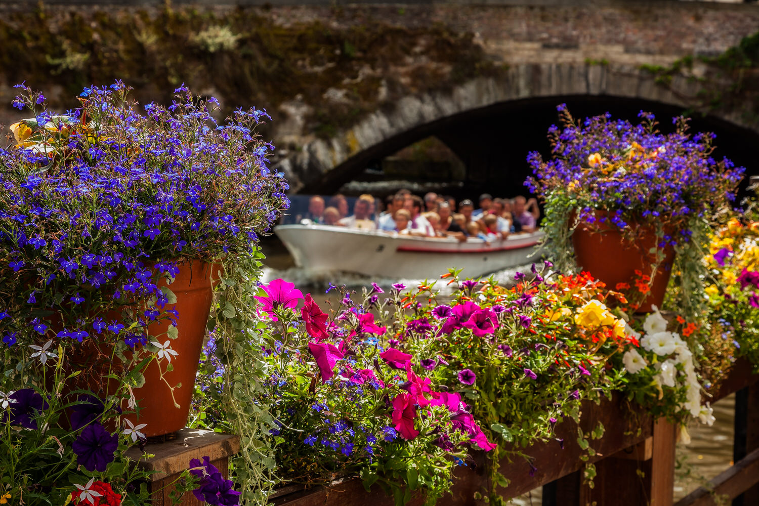 Colorful flowers await visitors touring the canals of Bruges on a beautiful summer's day in West Flanders, Belgium .
