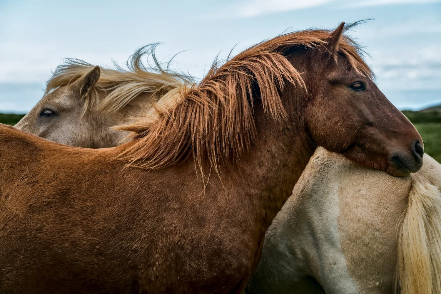 Serene scene of houses around a lake on Suduroy, Faroe Islands.
