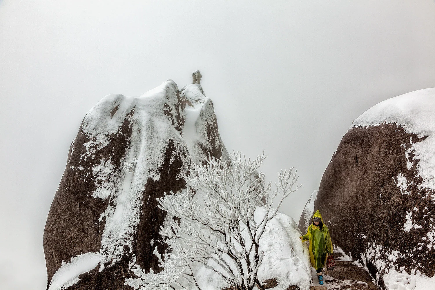 Find purpose creating artistic photos, like this mist shrouded landscape on Huangshan.