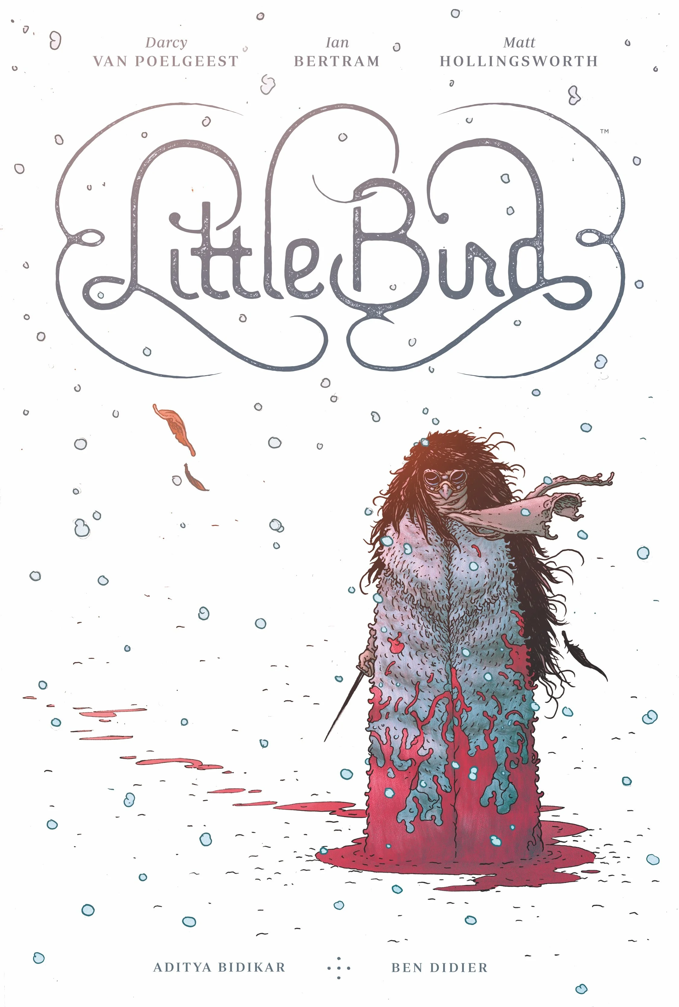 LITTLE BIRD_book cover.jpg